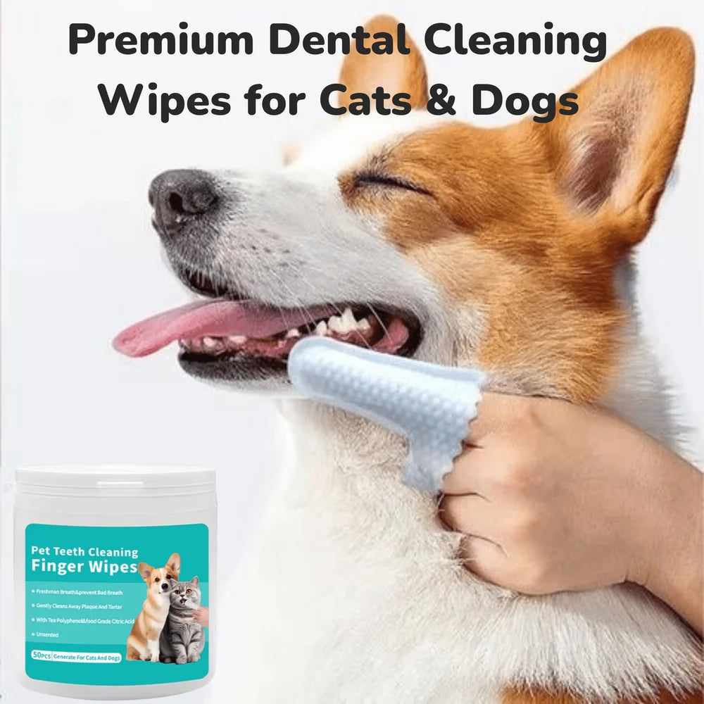 Dental Care Wipes
