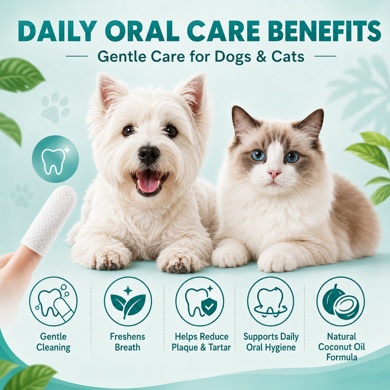 Dental Care Wipes