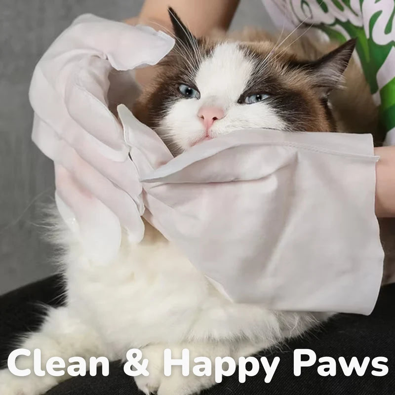 Glove Wipes