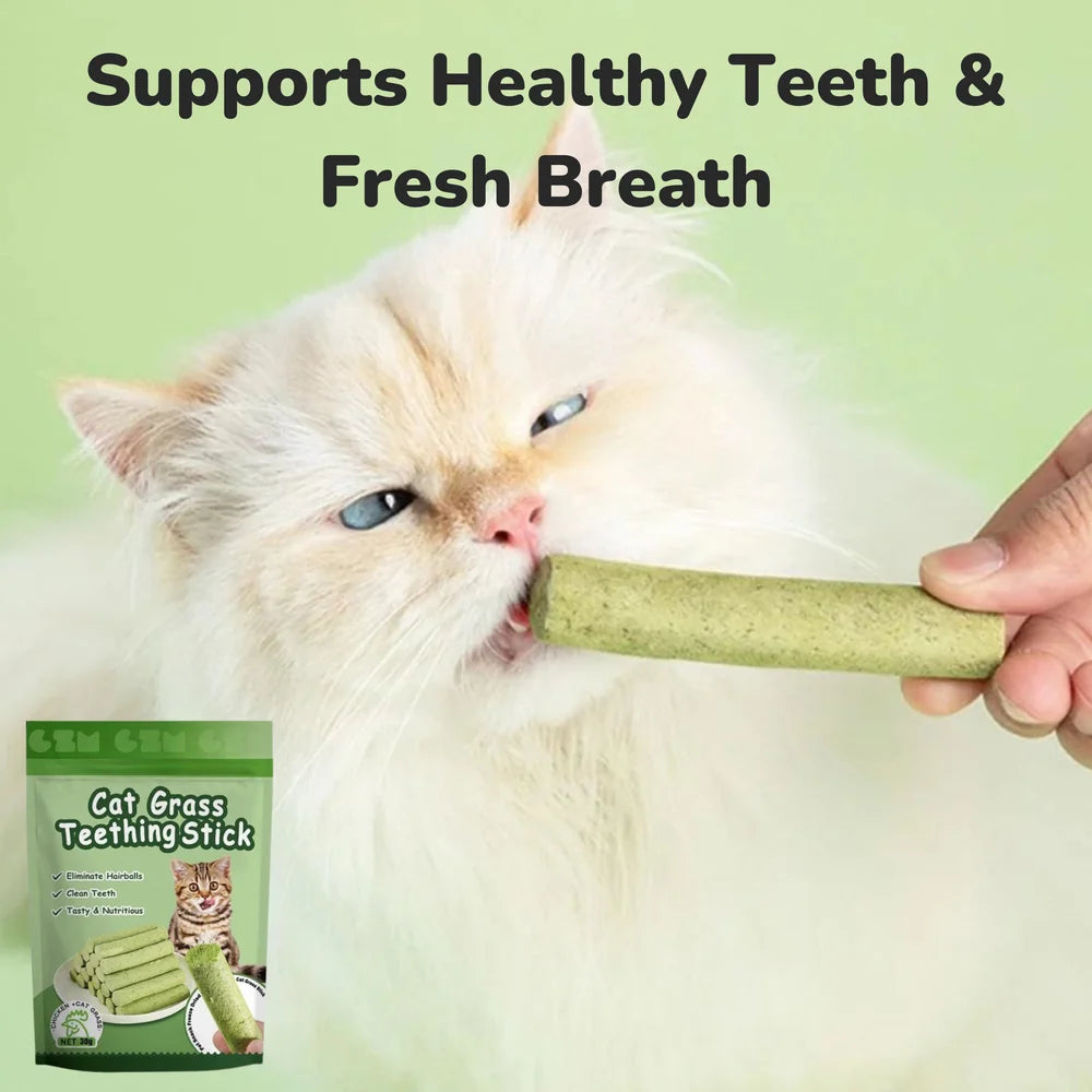 Cat Grass Teething Sticks
