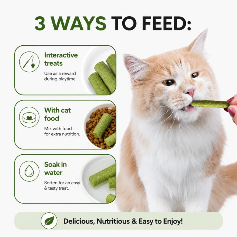 Cat Grass Teething Sticks