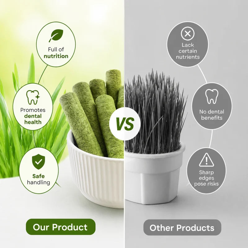 Cat Grass Teething Sticks