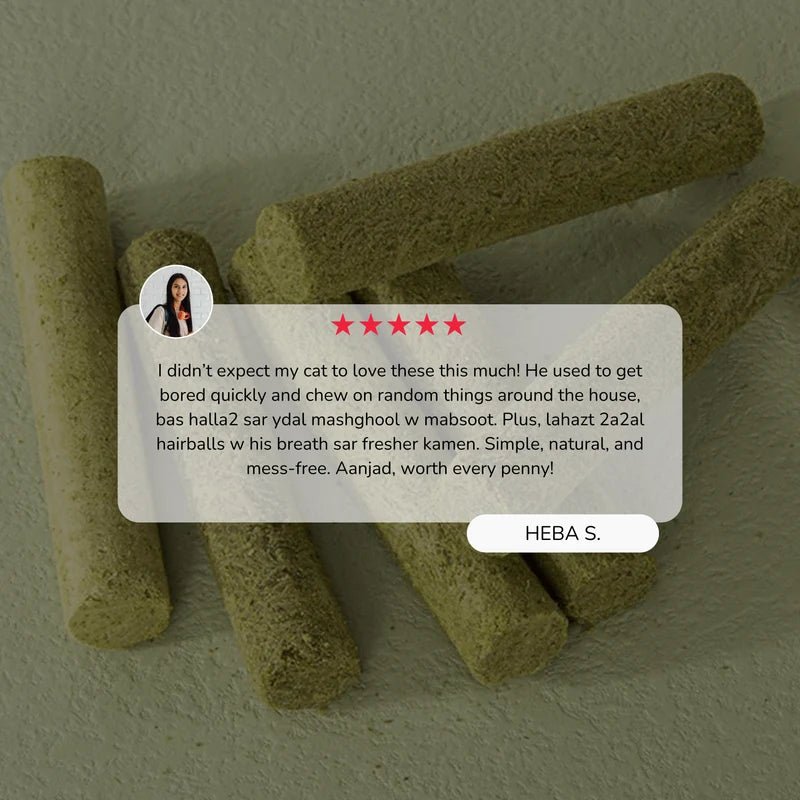 Cat Grass Teething Sticks