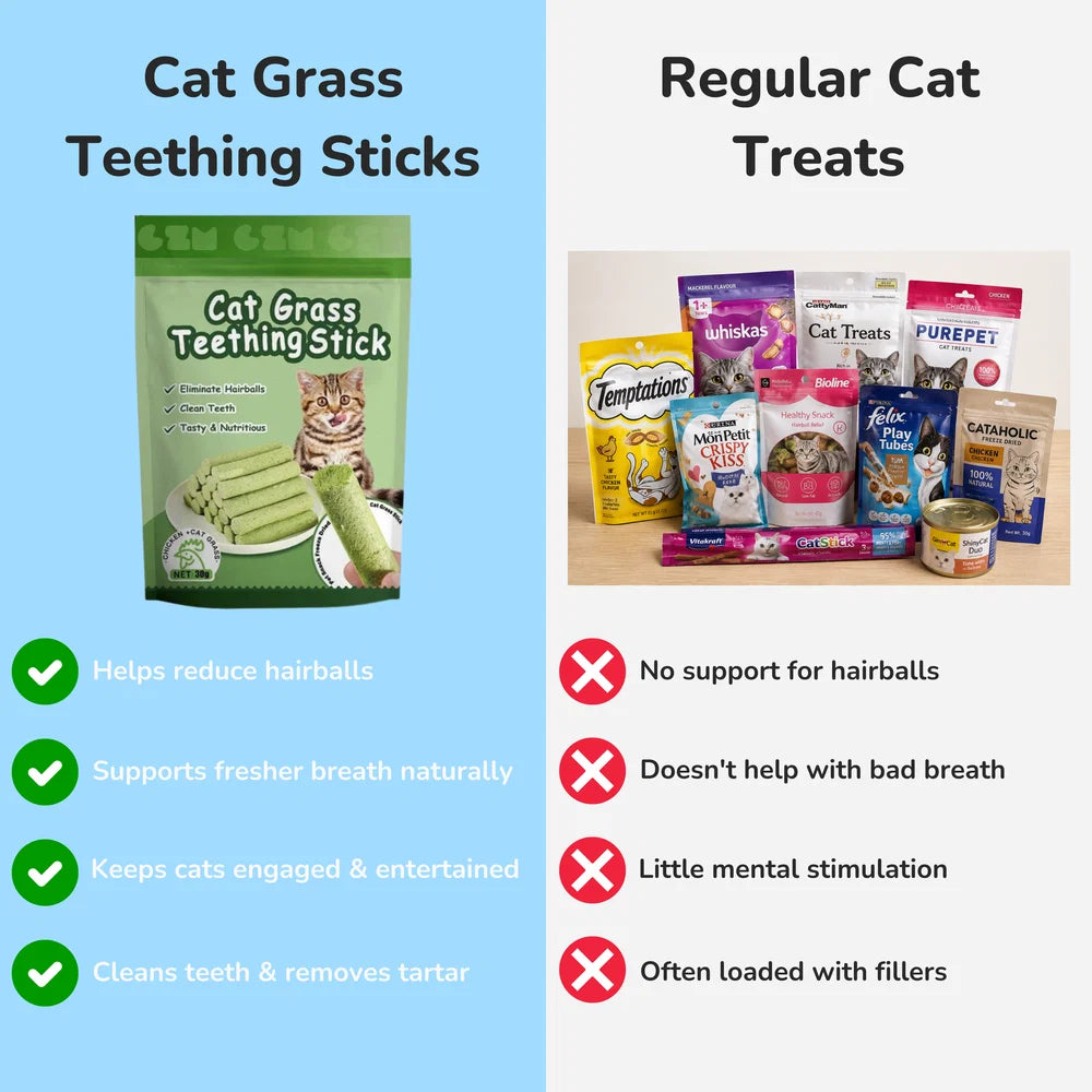 Cat Grass Teething Sticks