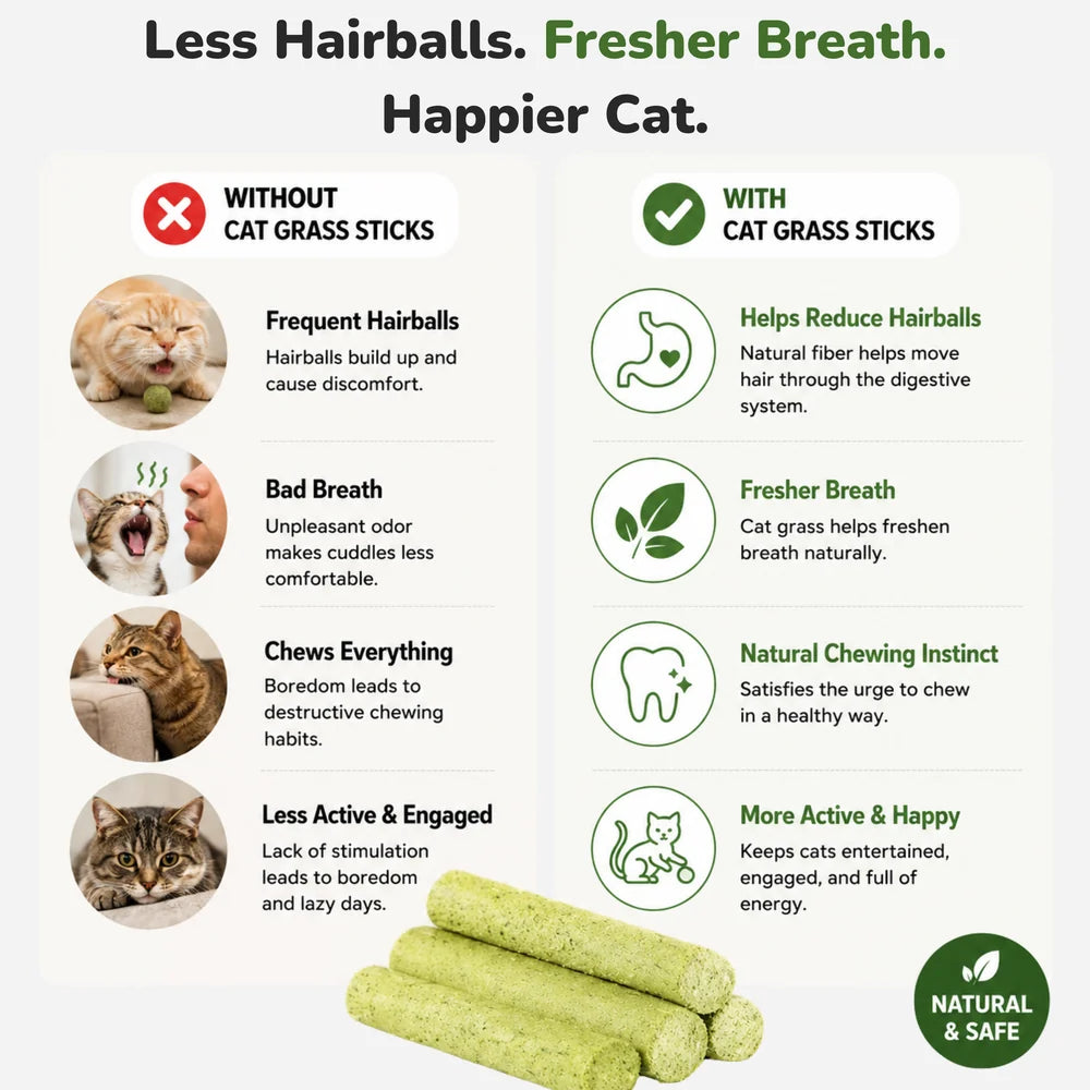 Cat Grass Teething Sticks