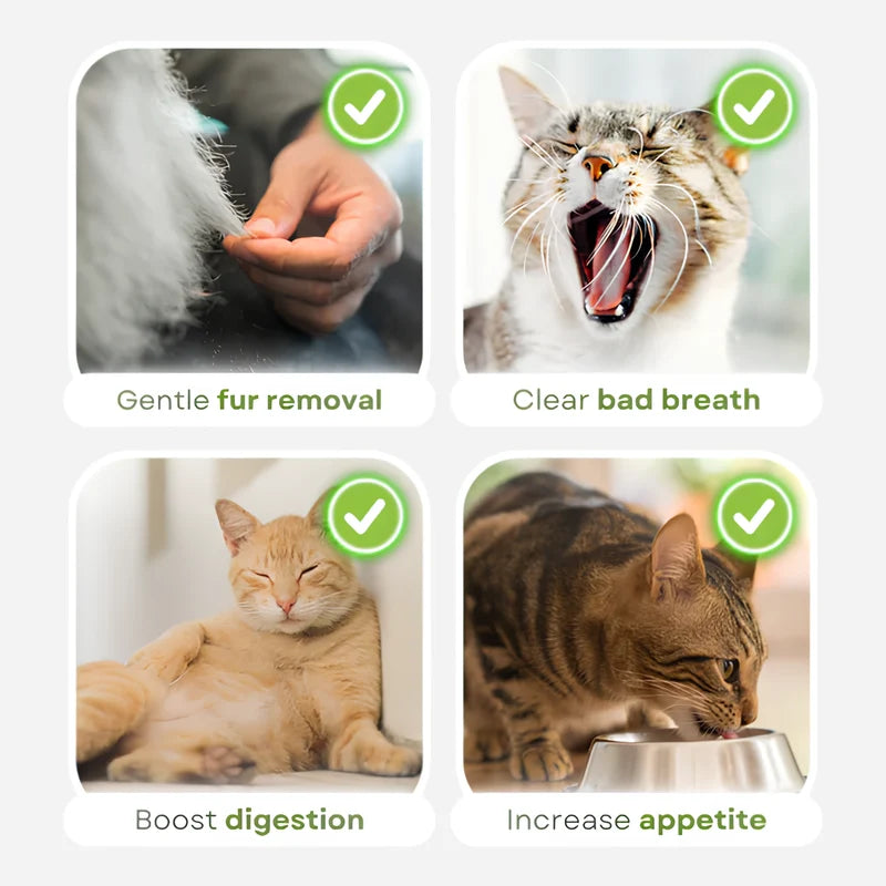 Cat Grass Teething Sticks