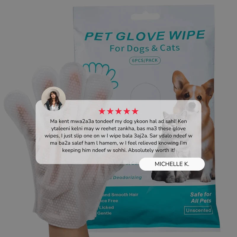 Glove Wipes